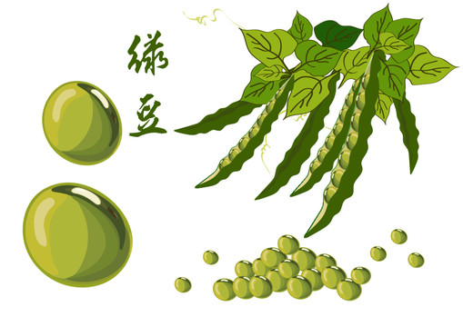 綠豆