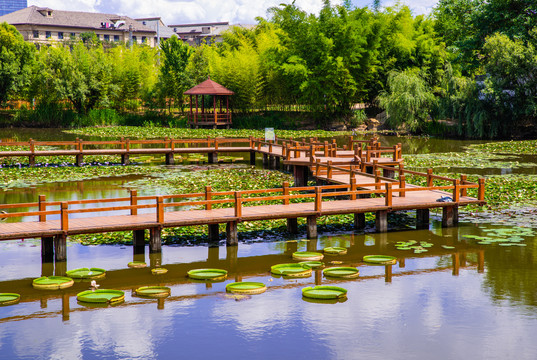 莲塘栈道