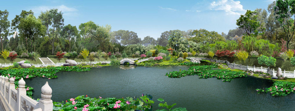 朝霞陵園荷花荷葉湖泊公園水池