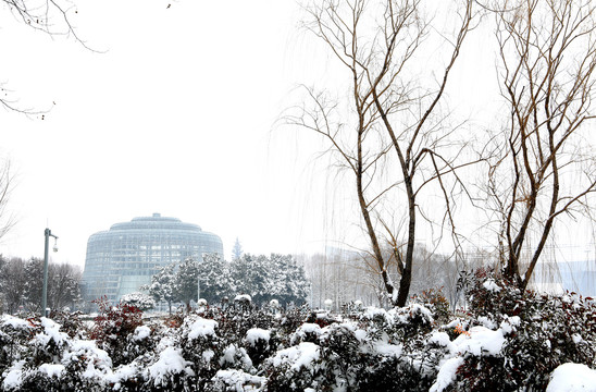 雪景