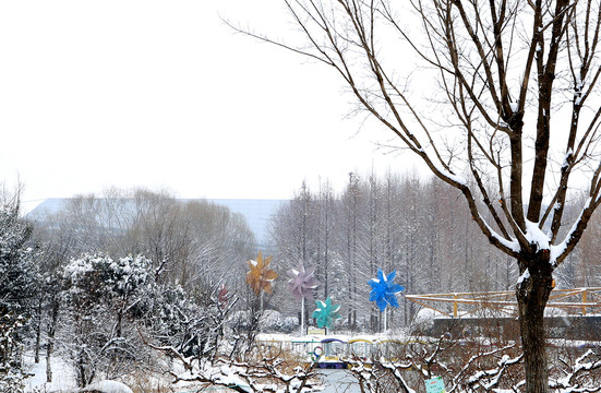 雪景