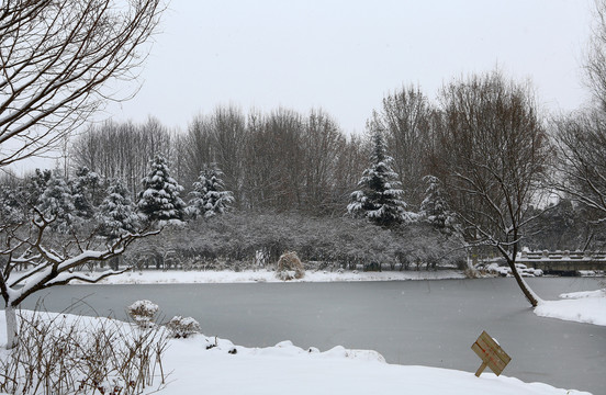 雪景