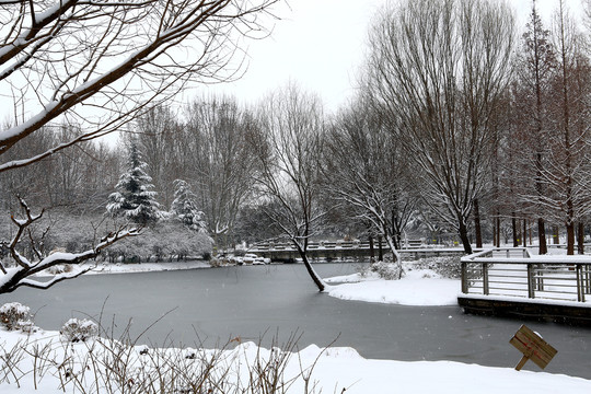 雪景