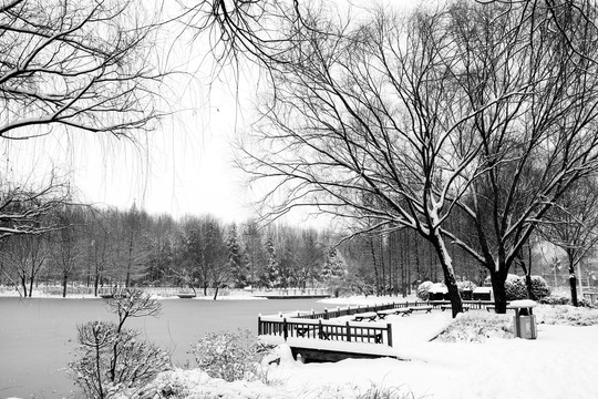 雪景