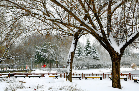 雪景