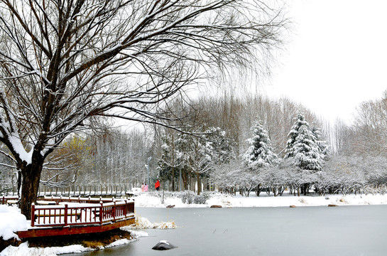 雪景