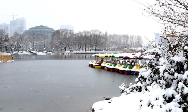 雪景