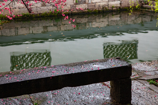 春雨