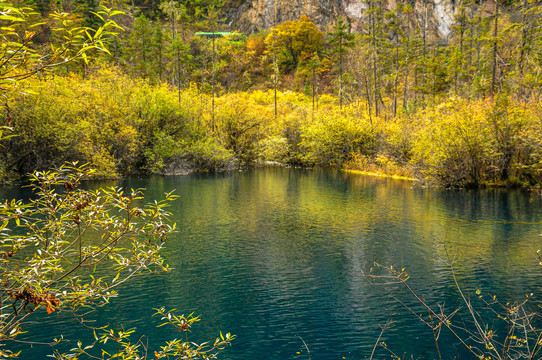 九寨沟秋景