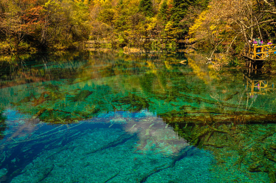 九寨秋景