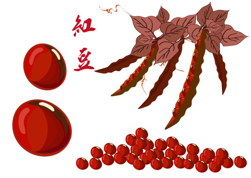 紅豆