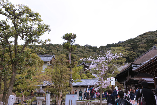 清水寺