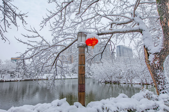 合肥包公园雪景