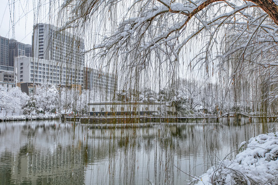 合肥包公园雪景