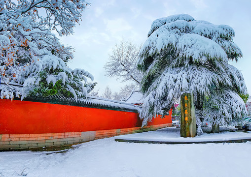 合肥包公园包公墓园雪景