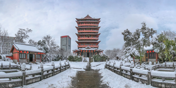 合肥包公园清风阁雪景