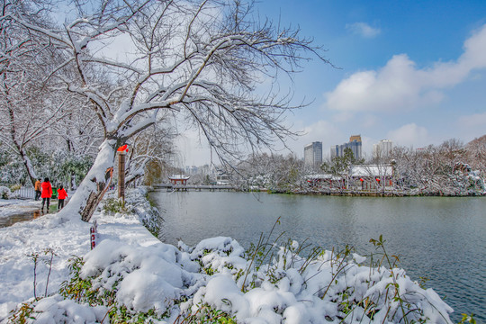 合肥包公园雪景