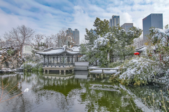 合肥包公园浮庄雪景