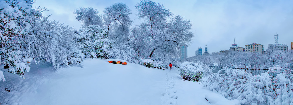 合肥市银河公园雪景全景图