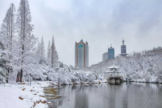 合肥市银河公园雪景