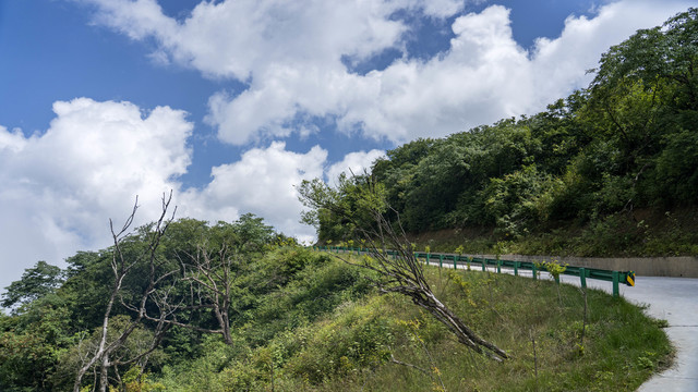 云海奔涌巴山美