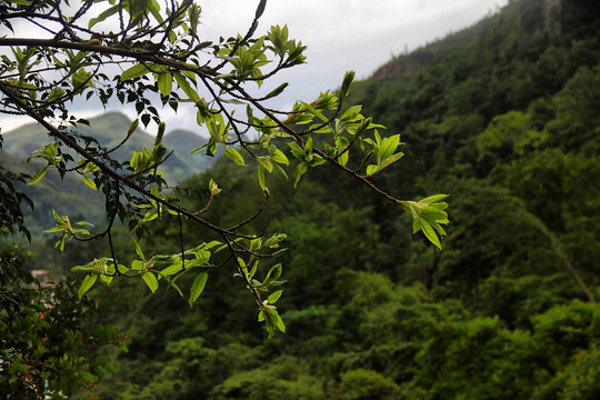 黄果树景区