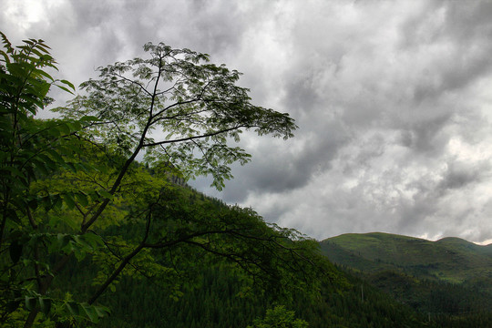 黄果树景区