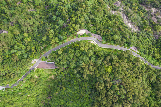 深圳大雁山森林公园