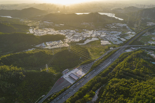 深圳光明区玉律种植蔬菜场