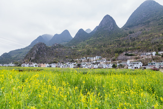 贵州兴义万峰林