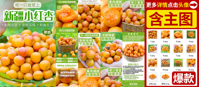 新疆紅杏詳情
