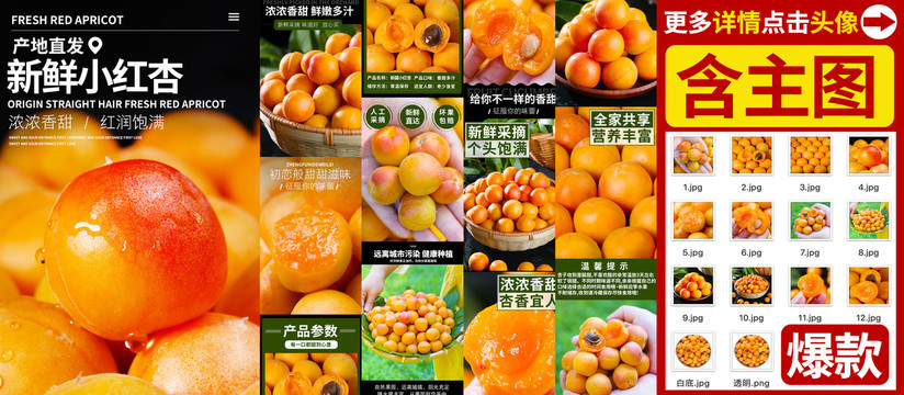 新疆小紅杏詳情