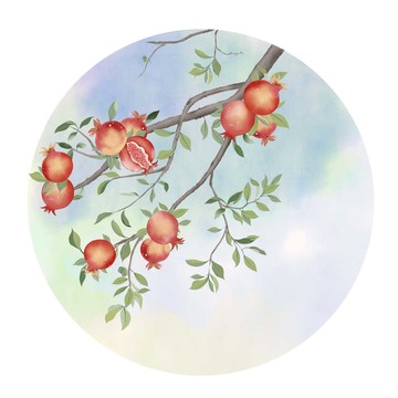 石榴水彩小品畫