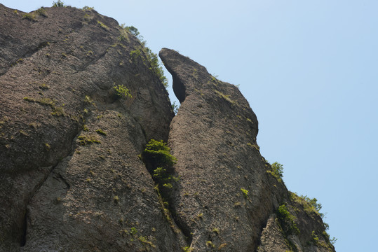 雁荡山风景大龙湫景区啄木鸟