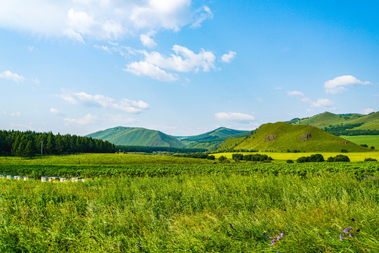 阿尔山七仙湖草原