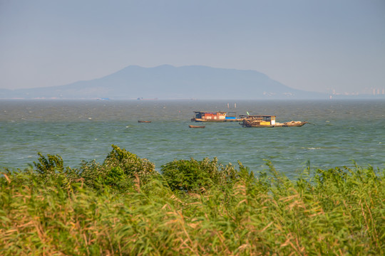 合肥巢湖湿地公园