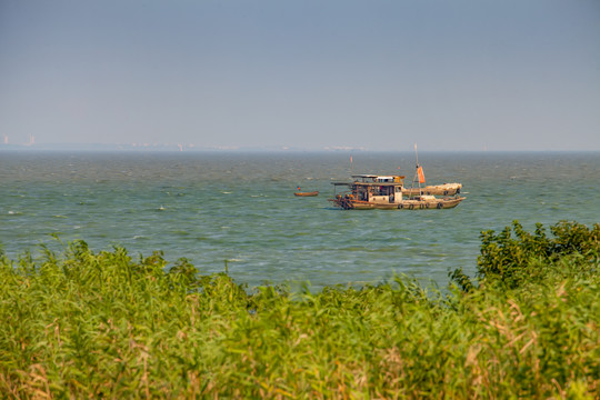 合肥巢湖湿地公园