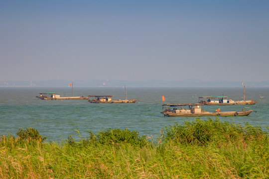 合肥巢湖湿地公园