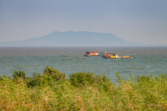 合肥巢湖湿地公园