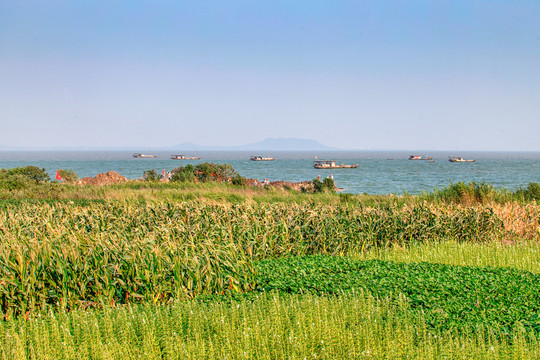 合肥巢湖湿地公园