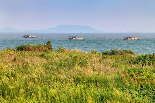 合肥巢湖湿地公园