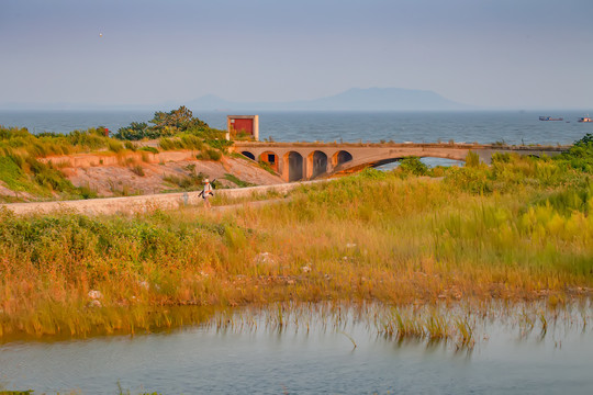 合肥巢湖湿地公园