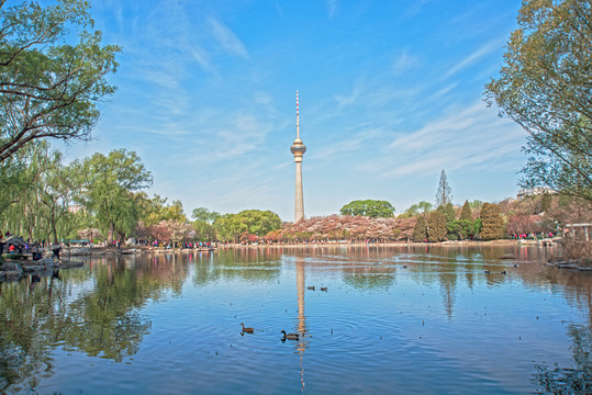 北京玉渊潭公园风景