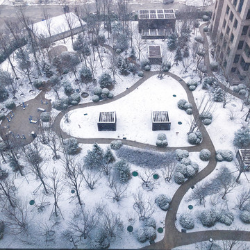 雪景