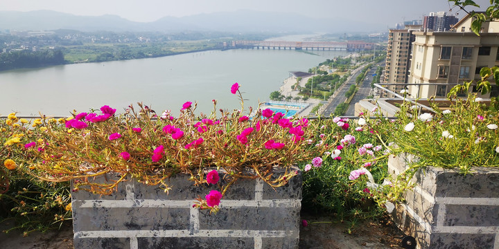 天台花园