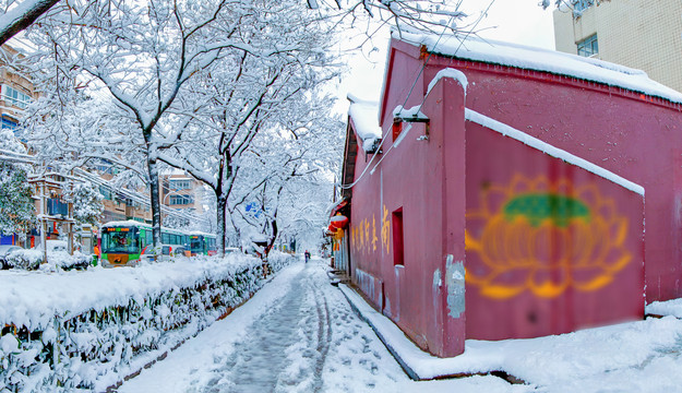 合肥市月潭庵雪景全景图