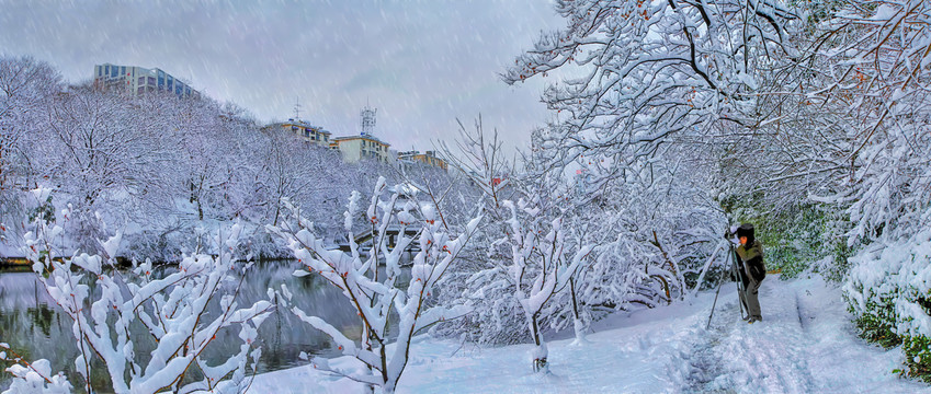 合肥市银河公园雪景全景图