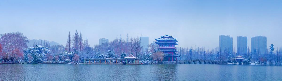 合肥逍遥津雪景全景图