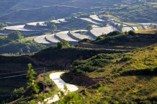 乡村景观