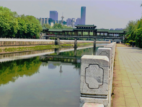 花草树木城市风景